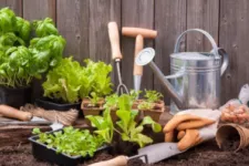 Starting a garden in your garage